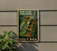 A framed poster of a red-eyed tree frog is displayed on a wall, with a plant to the left.