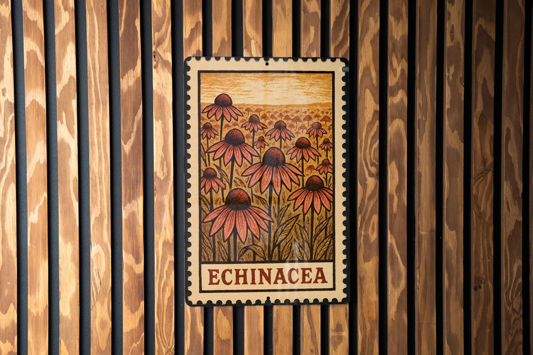 A framed image of a field of flowers, specifically Echinacea, is displayed on a wooden wall.