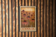 A framed image of a field of flowers, specifically Echinacea, is displayed on a wooden wall.