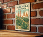 A vintage-style metal sign with the text "ALOE VERA GARDEN" is displayed on a brick wall, featuring an illustration of aloe vera plants.