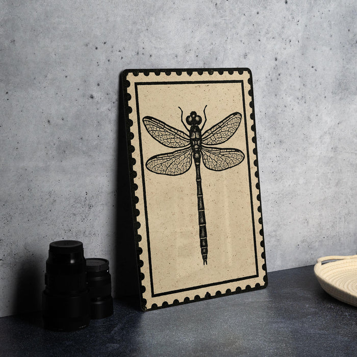 a framed artwork depicting a dragonfly, which is placed on a table next to some black camera lenses.