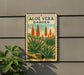 A metal sign with a vintage-style illustration of aloe vera plants, mounted on a wall.