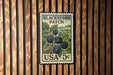 A vintage postage stamp featuring a blackberry patch, with the text "BLACKBERRY PATCH" and "USA 5c" printed on it.