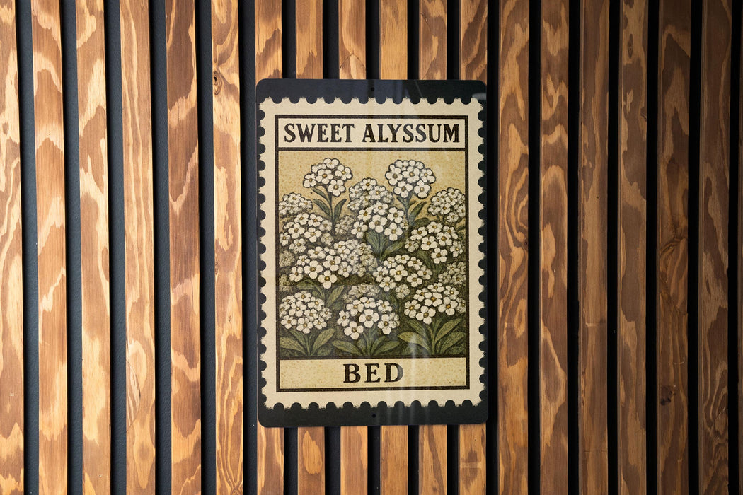 a framed print of a flower with the text "Sweet Alyssum Bed" on it, hanging on a wooden wall.