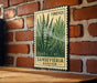 a sign for Sansevieria Garden, which is mounted on a brick wall.
