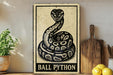 A vintage-style sign featuring a snake, with the text "BALL PYTHON" below it, is displayed on a shelf next to a potted plant and a cutting board.