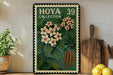A framed poster of a flower with a green border and a white border, displaying the text "HOYA COLLECTION 39" and an illustration of a flower with green leaves and orange flowers.