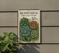 a postage stamp-like sign with a collection of succulent plants, including a green and brown rose, placed on a wall.