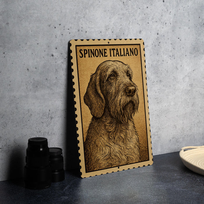 a Spaniel Italiano dog, which is a breed of dog known for its distinctive appearance and friendly temperament.