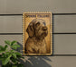 a Spaniel Italiano dog, which is a breed of dog known for its intelligence, agility, and friendly temperament.