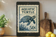 A framed image of a turtle on a shelf, with a price tag of 50 cents below it.