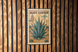 A framed image of an agave plant is displayed on a wooden wall.