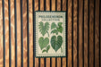 a poster with illustrations of various leaves and plants, mounted on a wooden wall.