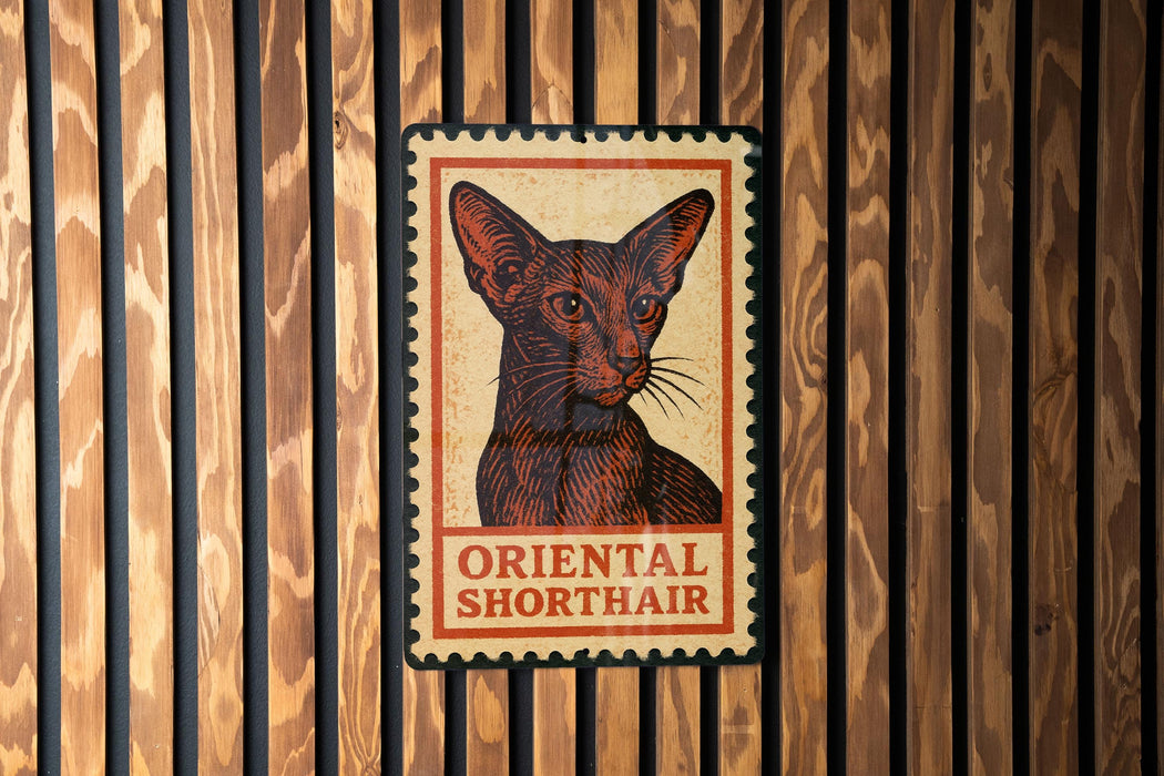a poster of an Oriental Shorthair cat, which is mounted on a wooden wall.