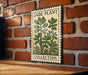 A vintage-style stamp featuring a jade plant illustration is displayed on a brick wall, with the word "JADE PLANT" and "COLLECTION" printed on it.