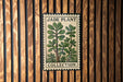 A jade plant stamp is displayed on a wooden wall, with the text "JADE PLANT COLLECTION" printed on it.