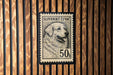 A black and white postage stamp featuring a dog's portrait, with the text "SLOVENSKY ČUVĚCČ" and the denomination "50 h".