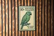 A green parakeet perched on a branch, depicted as a postage stamp with the text "10 RINGNECK PARAKEEET" and "PSITTACULA KRAMERI" printed on it.