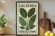 a framed sign with a plant illustration, placed on a shelf next to a wooden cutting board and some potted plants.