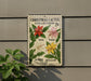 a Christmas cactus collection sign with illustrations of red, pink, white, and yellow flowers, mounted on a wall.