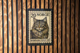 A wooden wall with a black and white postage stamp featuring a close-up of a Norwegian forest cat.