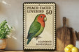 A vintage postage stamp featuring a peach-faced lovebird, with the text "PEACH-FACED LOVEBIRD 50" and "AGAPORNIS ROSECOLLIS" printed on it. The stamp is displayed on a wooden shelf, with a potted plant, a cutting board, and some lemons nearby.