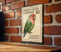 A vintage-style postage stamp featuring a colorful parrot, specifically a peach-faced lovebird, is displayed on a brick wall.