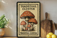 A framed sign with a mushroom illustration and the text "Toadstool Cluster" is displayed on a shelf next to a wooden cutting board and some potted plants.