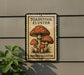 A sign for the "Toadstool Cluster" is displayed on a wall, featuring an illustration of three toadstools.