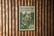 A green and white mushroom stamp is displayed on a wooden wall.