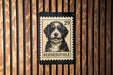 A Bernoodle dog is depicted on a postage stamp-like frame, mounted on a wooden wall.