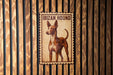 a sign with the text "IBIZAN HOUND" and an illustration of an IBIZAN hound dog.