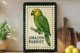 a framed illustration of a green parrot, with the text "AMAZON PARrot" printed on it. The parrot is perched on a branch, and there are some potted plants and kitchen utensils visible in the background.