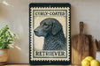 A black and white illustration of a curly-coated retriever dog is displayed on a shelf, accompanied by a wooden cutting board and a potted plant.