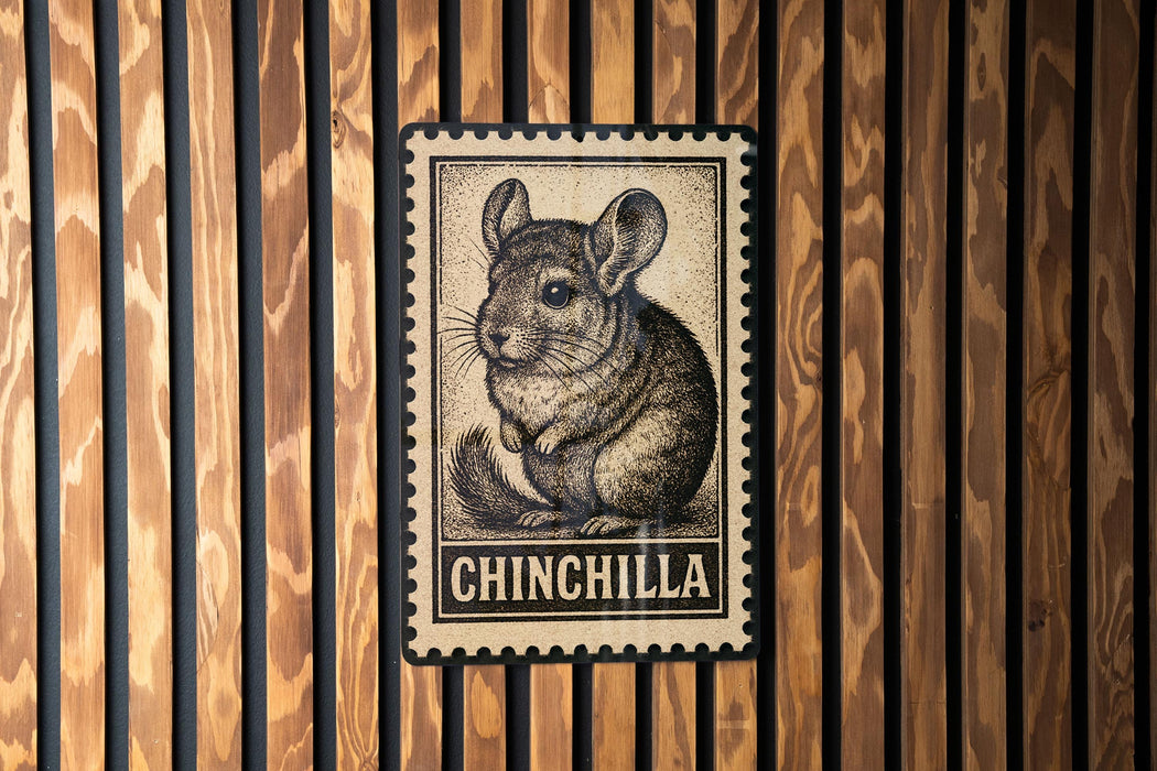 A chinchilla illustration on a wooden surface, with the word "CHINCHILLA" written below it.