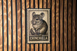 A chinchilla illustration on a wooden surface, with the word "CHINCHILLA" written below it.