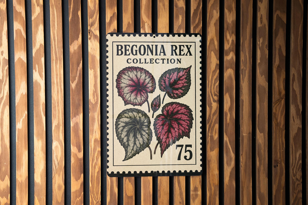 A postage stamp from the Begonia Rex Collection, featuring a floral design with three large leaves in shades of pink and green.
