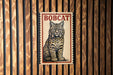A framed image of a bobcat, a type of wild cat, is displayed on a wooden wall.