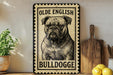 a bulldog, a breed of dog known for its distinctive appearance and muscular build.
