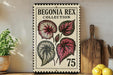 a vintage-style stamp with a floral design, placed on a wooden surface next to a potted plant and a wooden cutting board.