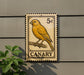 a canary, a yellow bird, perched on a branch.