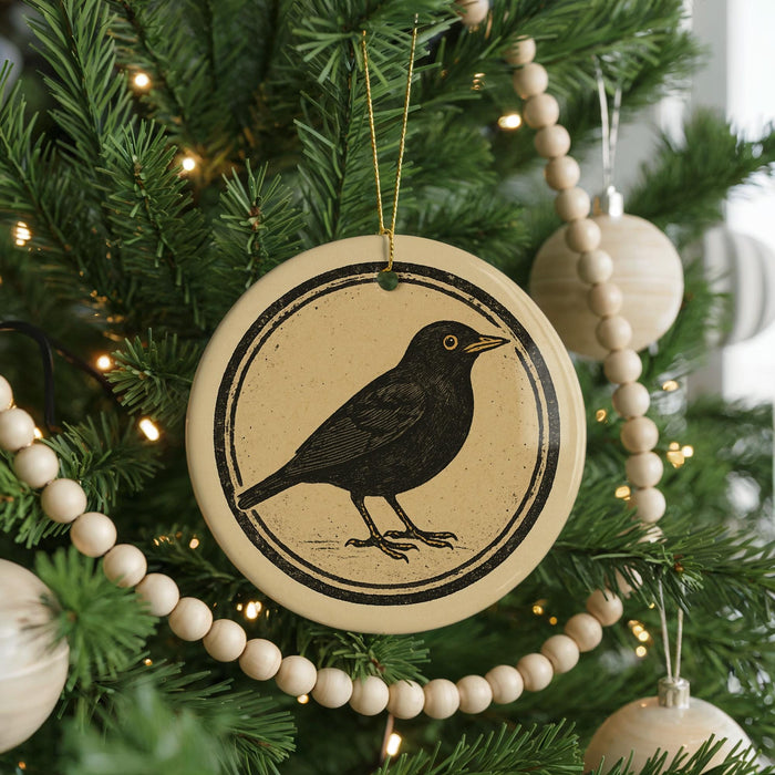 A Christmas tree decorated with ornaments, including a round ornament featuring a black bird design.