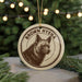 A circular ornament featuring a brown hyena's head, with the text "BROWN HYENA" written around the edge.