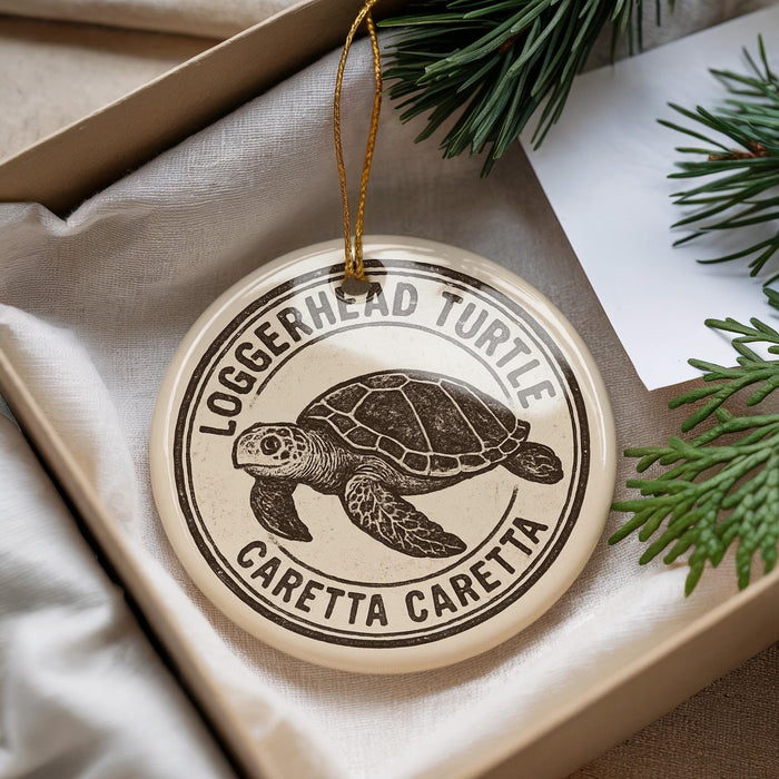 A circular ornament with a turtle design, hanging from a string.