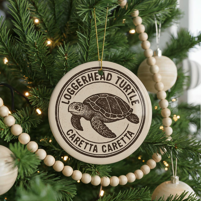 A Christmas tree decorated with a circular ornament featuring a turtle and the text "Loggerhead Turtle" and "Caretta Caretta".