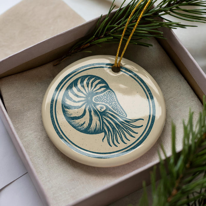 A ceramic ornament in the shape of a nautilus shell, with a blue and white design, is displayed in a box with pine branches.