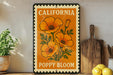 A framed poster of a poppy flower with the text "California Poppy Bloom" is displayed on a shelf next to a wooden cutting board and a potted plant.