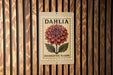 A decorative flower stamp with the word "Dahlia" on it, placed on a wooden wall.