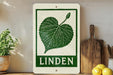 a sign with a green leaf design and the word "LINDEN" written on it, placed on a wooden surface next to a potted plant and a cutting board.