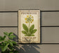 a sign with a picture of a Primrose and a picture of a Cowslip plant, mounted on a wall.